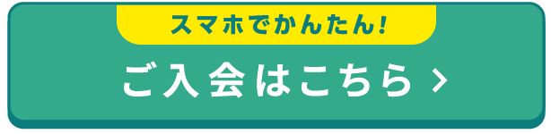 チョコザップ(ちょこざっぷ)chocozap熊本｜支払い方法